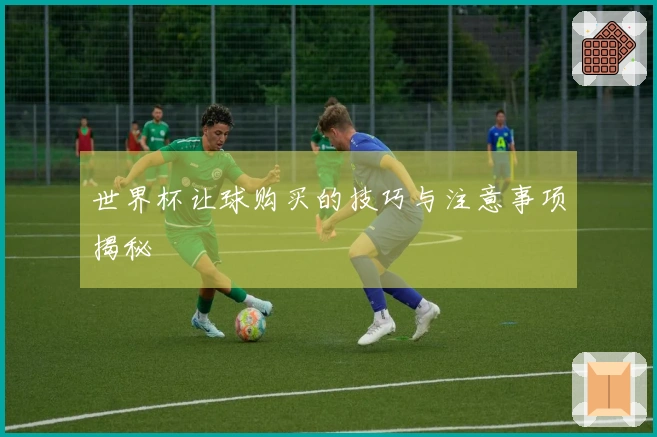 世界杯让球购买的技巧与注意事项揭秘