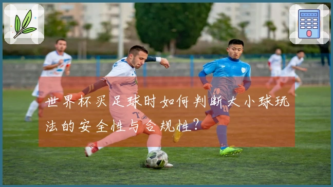 世界杯买足球时如何判断大小球玩法的安全性与合规性？