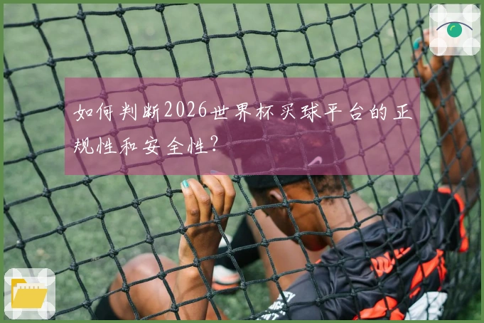 如何判断2026世界杯买球平台的正规性和安全性？