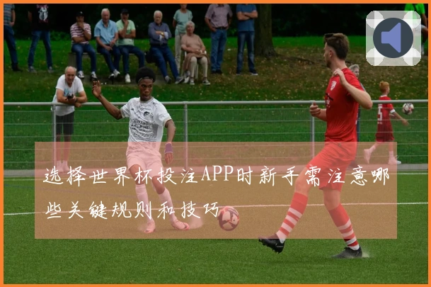 选择世界杯投注APP时新手需注意哪些关键规则和技巧