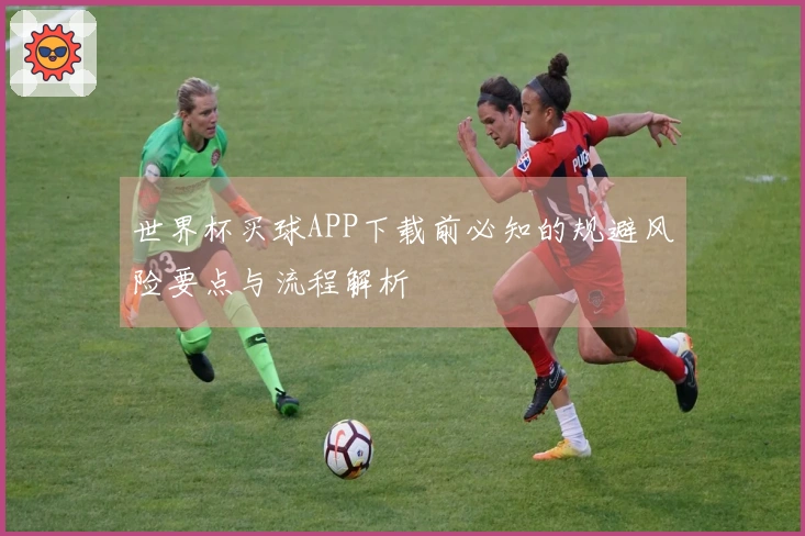 世界杯买球APP下载前必知的规避风险要点与流程解析