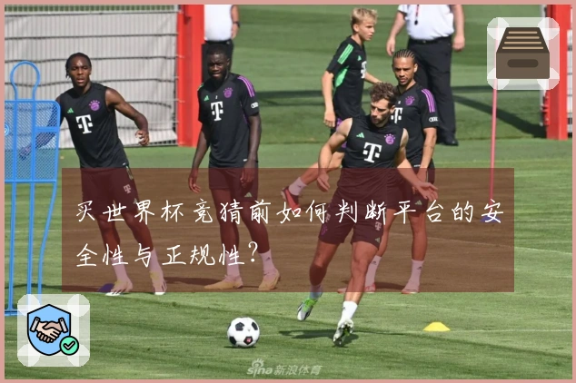 买世界杯竞猜前如何判断平台的安全性与正规性？