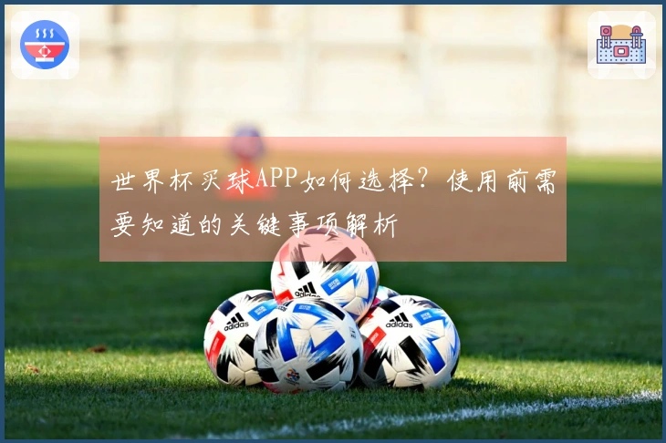世界杯买球APP如何选择？使用前需要知道的关键事项解析