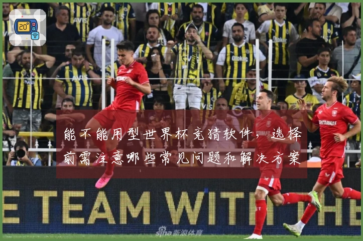 能不能用型世界杯竞猜软件，选择前需注意哪些常见问题和解决方案