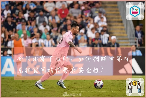冷门比赛下注时，如何判断世界杯竞猜官网的信誉和安全性？