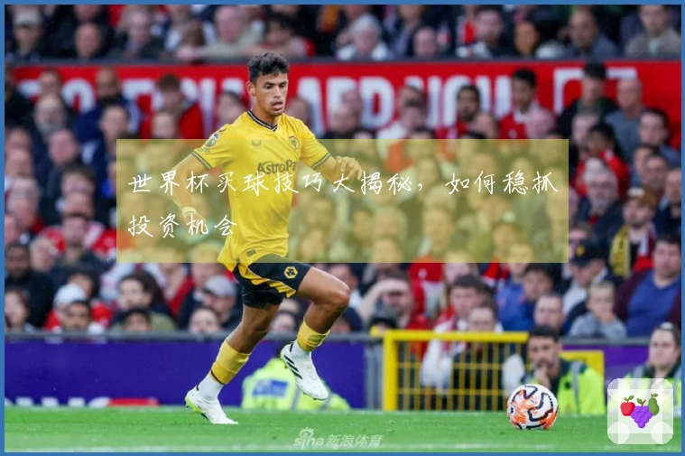 世界杯买球技巧大揭秘，如何稳抓投资机会