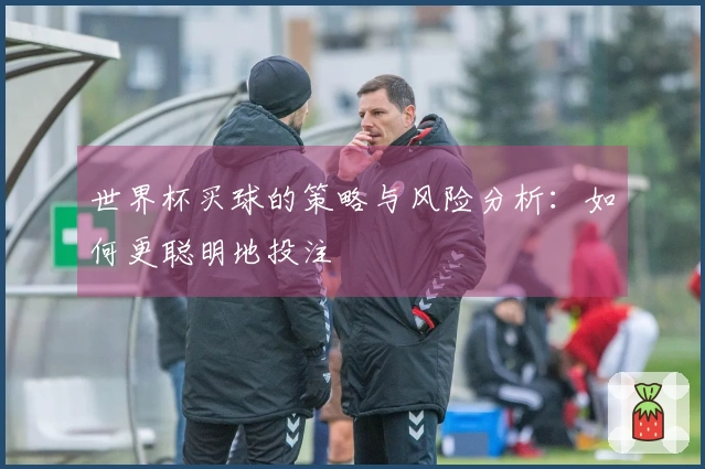 世界杯买球的策略与风险分析：如何更聪明地投注