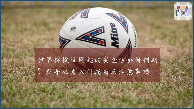 世界杯投注网站的安全性如何判断？新手必看入门指南及注意事项