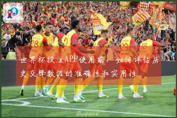 世界杯投注APP使用前，如何评估历史交锋数据的准确性和实用性