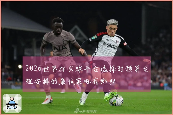 2026世界杯买球平台选择时预算合理安排的最佳策略有哪些