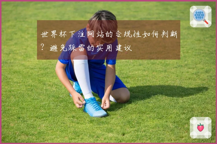 世界杯下注网站的合规性如何判断？避免踩雷的实用建议