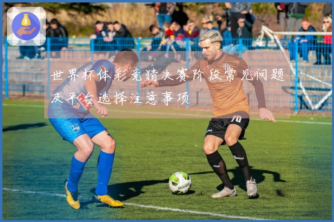 世界杯体彩竞猜决赛阶段常见问题及平台选择注意事项