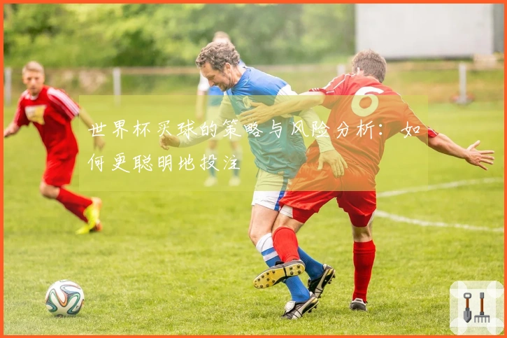 世界杯买球的策略与风险分析：如何更聪明地投注