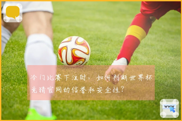冷门比赛下注时，如何判断世界杯竞猜官网的信誉和安全性？