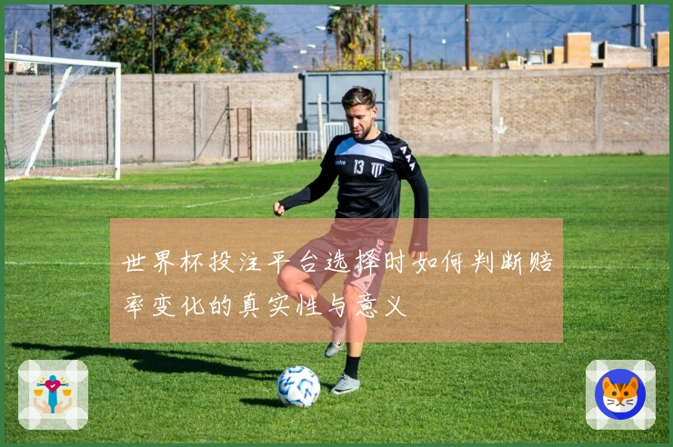 世界杯投注平台选择时如何判断赔率变化的真实性与意义