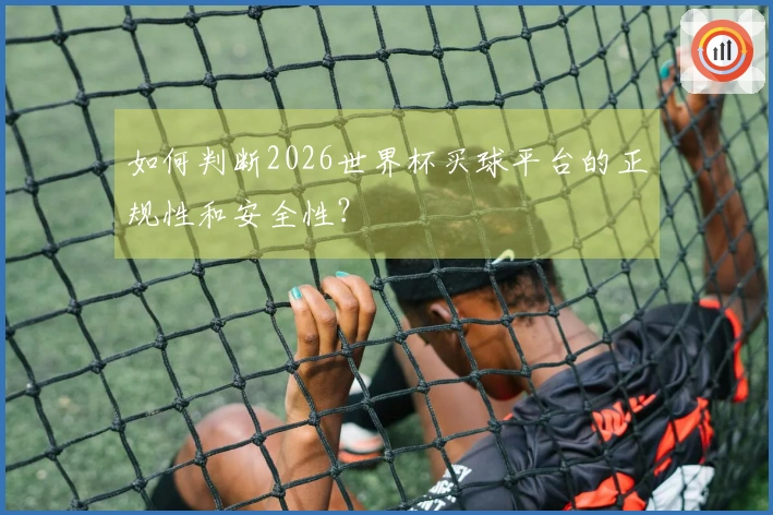 如何判断2026世界杯买球平台的正规性和安全性？