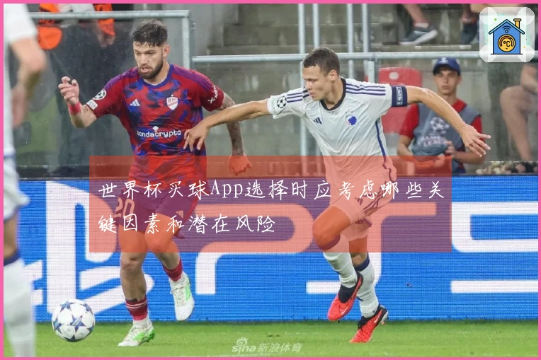 世界杯买球App选择时应考虑哪些关键因素和潜在风险