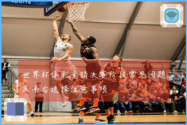 世界杯体彩竞猜决赛阶段常见问题及平台选择注意事项