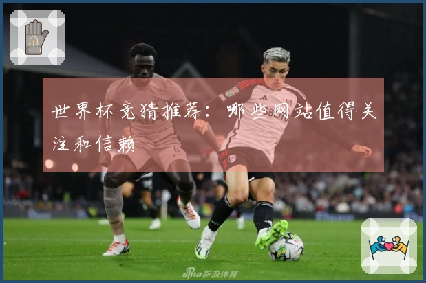 世界杯竞猜推荐：哪些网站值得关注和信赖
