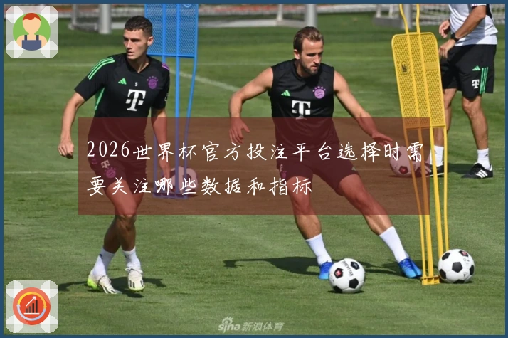 2026世界杯官方投注平台选择时需要关注哪些数据和指标