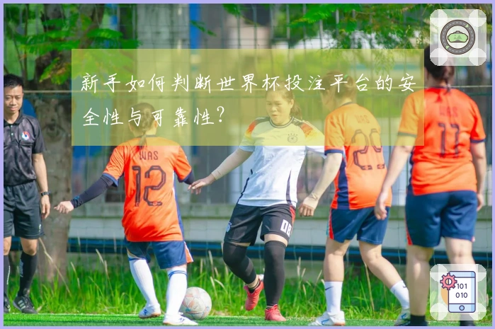 新手如何判断世界杯投注平台的安全性与可靠性？