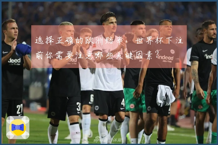 选择正确的欧洲赔率，世界杯下注前你需要注意哪些关键因素？