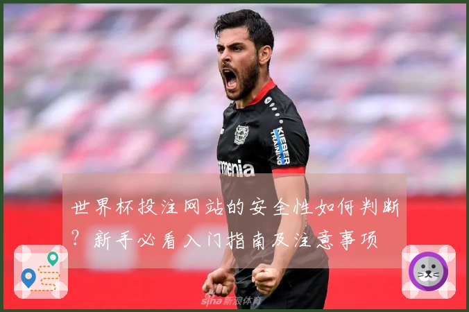 世界杯投注网站的安全性如何判断？新手必看入门指南及注意事项