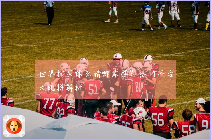 世界杯买球竞猜哪家强？热门平台大比拼解析