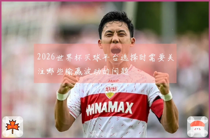 2026世界杯买球平台选择时需要关注哪些输赢波动的问题