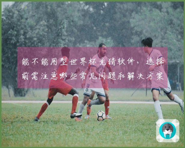能不能用型世界杯竞猜软件，选择前需注意哪些常见问题和解决方案