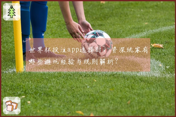 世界杯投注app选择时，资深玩家有哪些避坑经验与规则解析？
